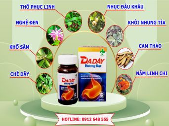 Dạ Dày Hương Đạt Hộp 10 Vỉ 100 Viên